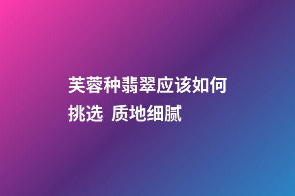 芙蓉种翡翠应该如何挑选  质地细腻